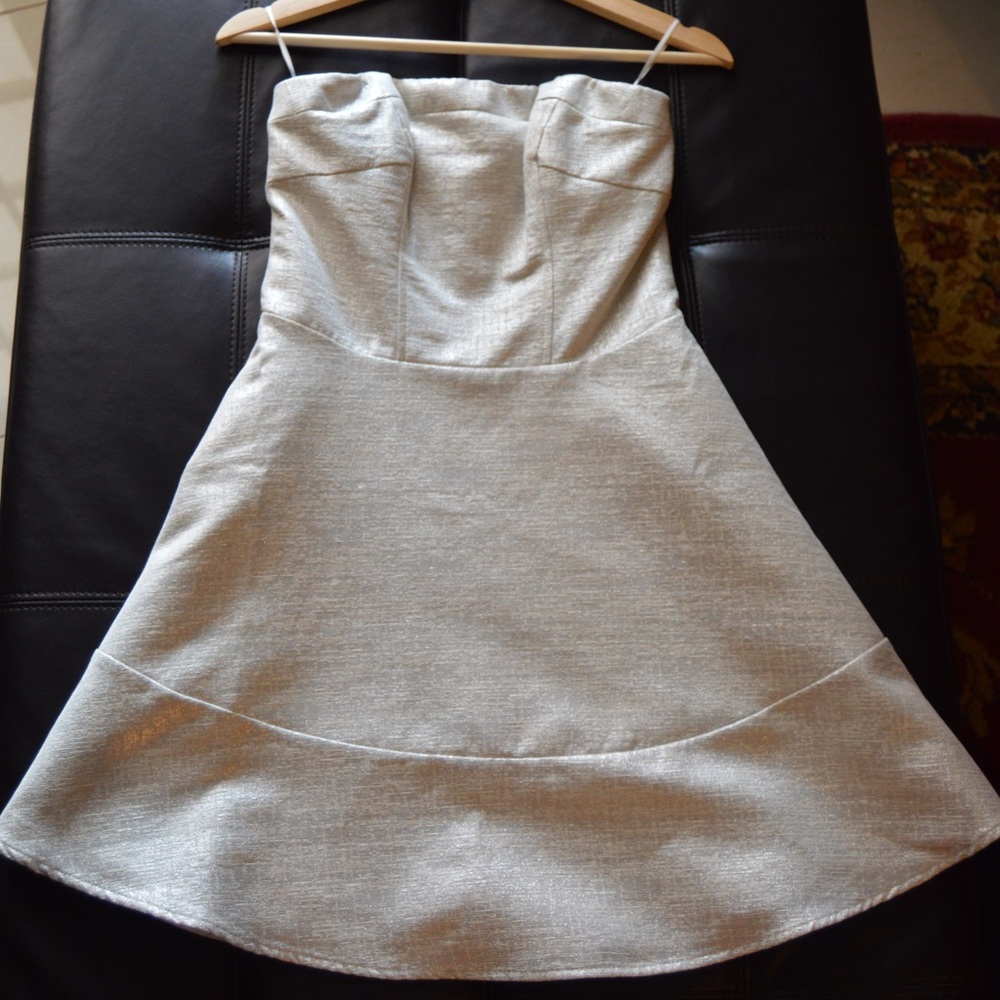 Express Silver Dress